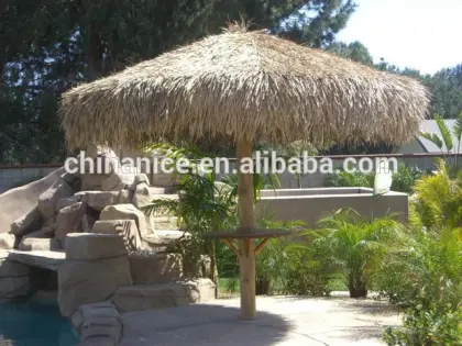 mexican thatch roofing