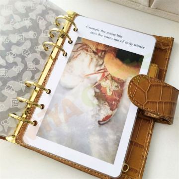 Minimalist Women's Paper Dashboard Insert for Binder and Discbound Planner, Laminated
