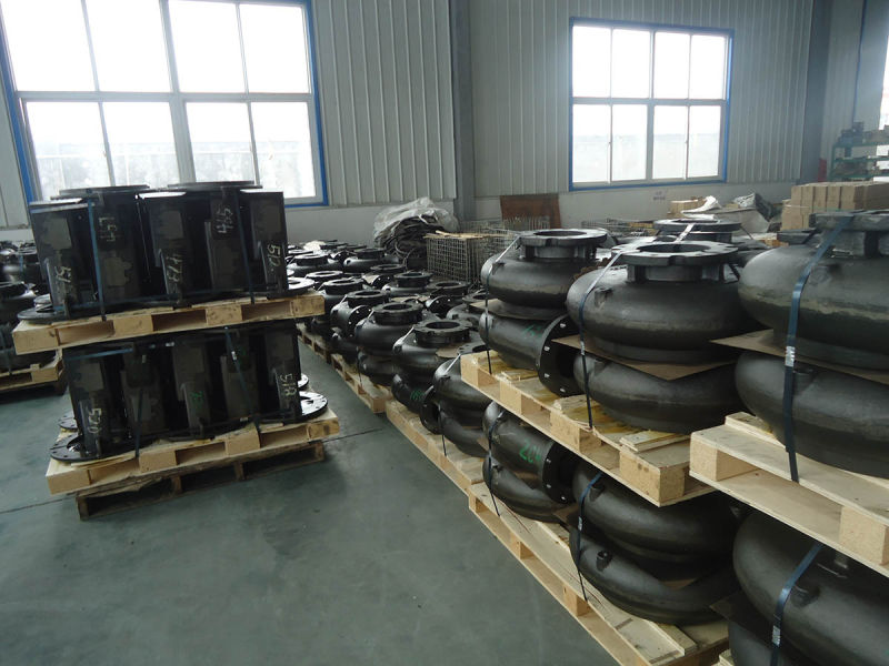 Singho Ductile Iron Water Pump Housing