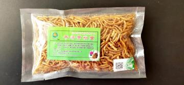 pets feed of dry yellow mealworm