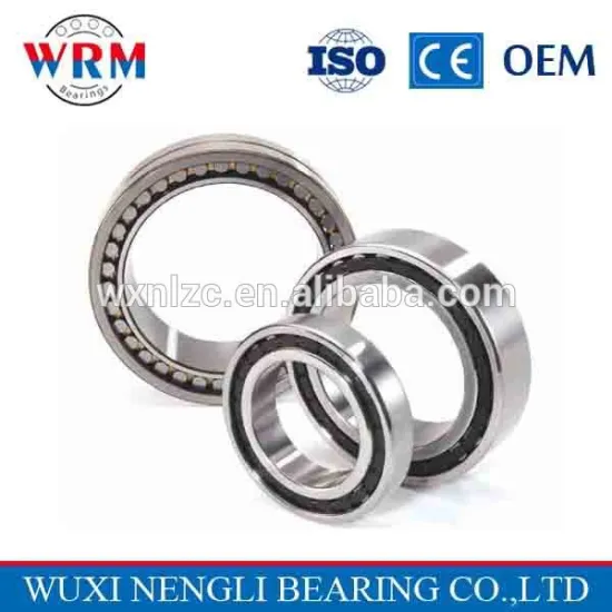 Large Load Capacity Large and Medium Motor Float End Cylindrical Roller Bearing NU1038M