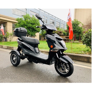 Differential Motor Adult Electric Tricycle 600W/800W