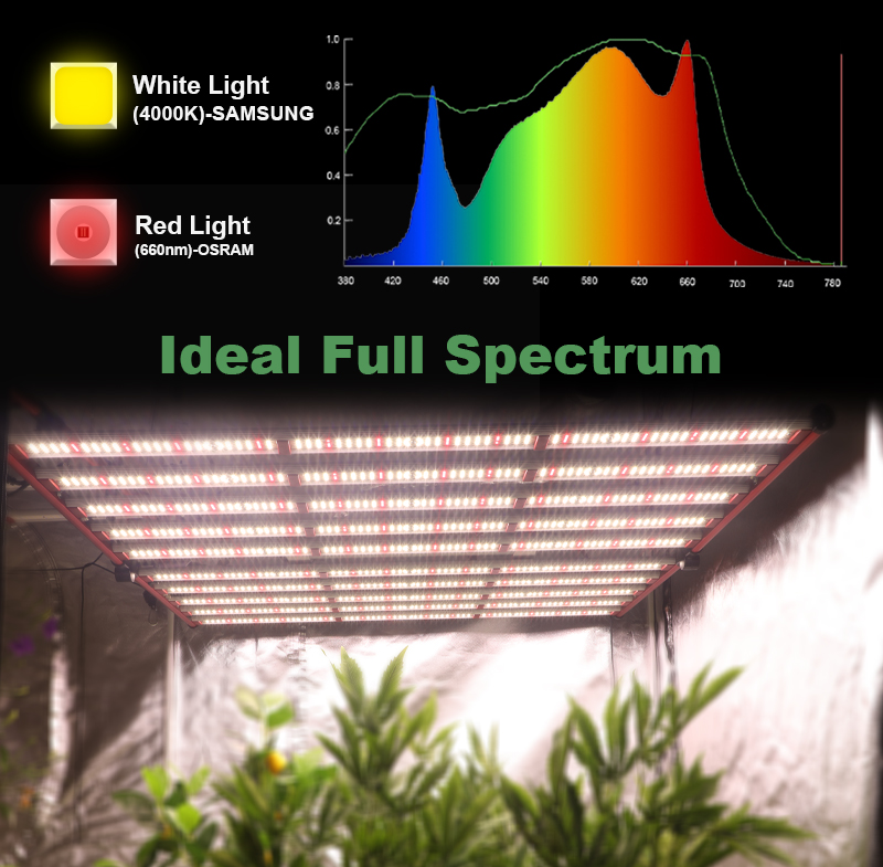 Lipat spektrum penuh LM301H LED Grow Lights 1000W