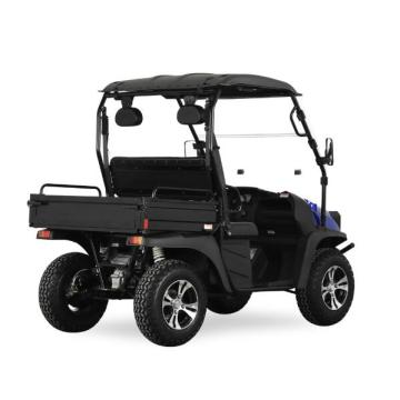 5kW Electric UTV con EEC Jeep Style