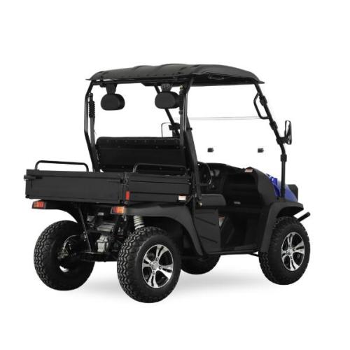 5kw Electric UTV mit EWG-Jeep-Stil