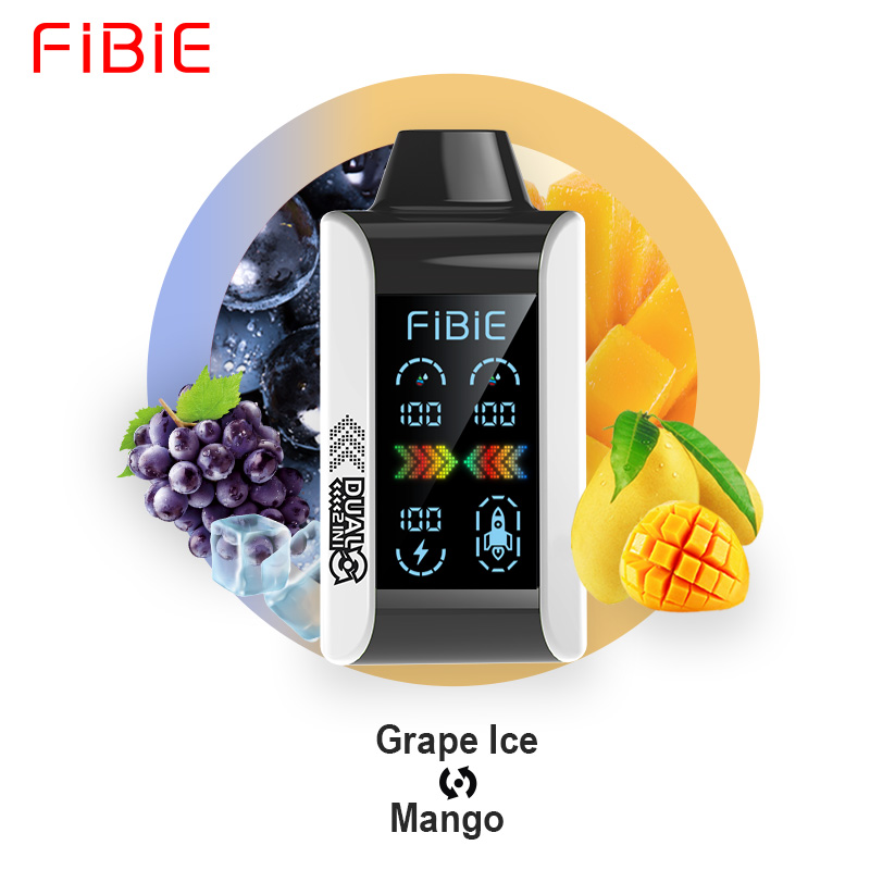 Fibie Dual Flavors 15k Puffs Vape