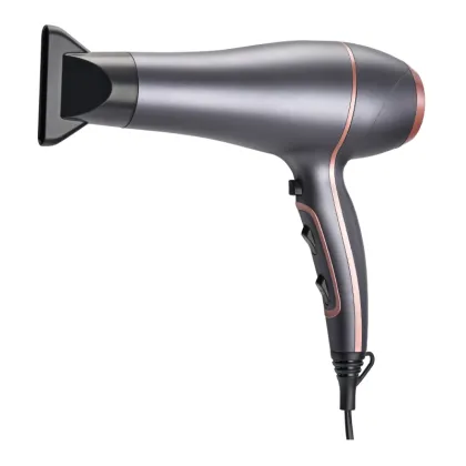 2200W Pro Hair Dryer with Diffuser and DC Motor