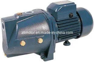 Self-Priming Jsw Pump (JSW)