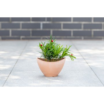 Macetero novedoso curvado caprichoso