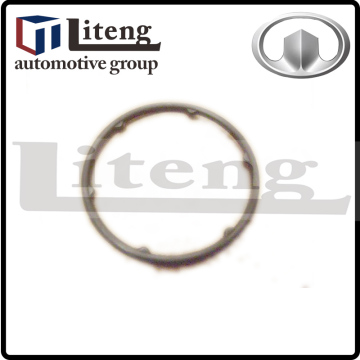 GREAT WALL FLORIDO-GASKET OILPUMP OUTLET CHANNEL 1002012-EG01