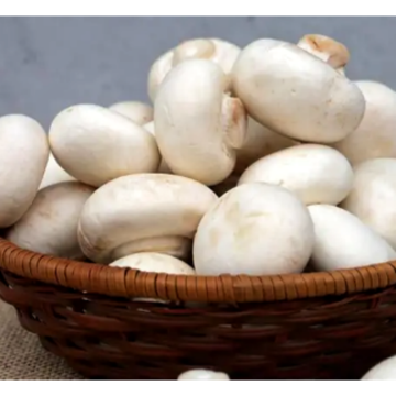 Agaricus Bisporus Extract
