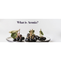 Black Aronia Chokeberry Extract