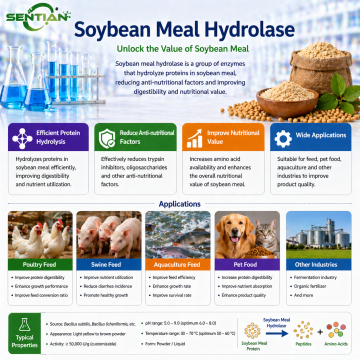 Soybean meal hydrolase