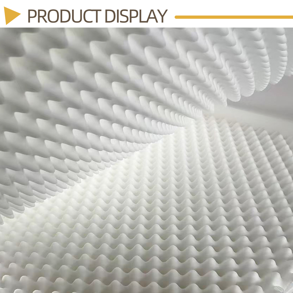 Eco-Friendly Biodegradable Pet Sponge X