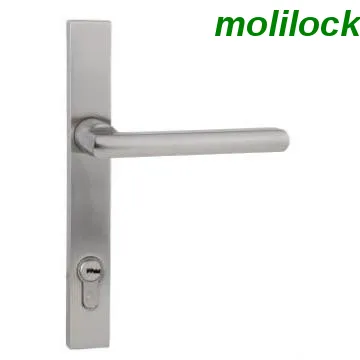 Hotel Locks, Gate Locks, Room Door Locks