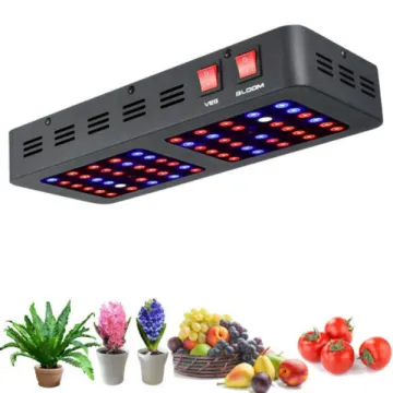Factory Supply Fruits and Vegetables Growing Light