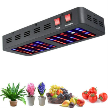 Factory Supply Fruits and Vegetables Growing Light