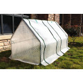 Small Size Single Film Greenhouse