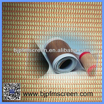 Perforated PTFE Mesh Belt for Biscuit Drying