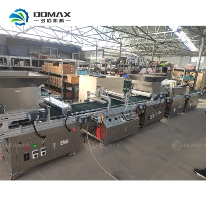 Pneumatic Seed Sowing Semi-automatic Nursery Seedling Machine
