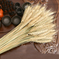 100pcs natural dried flower bouquets natural raw color dried ear of wheat bouquets&wheat ear Bunches