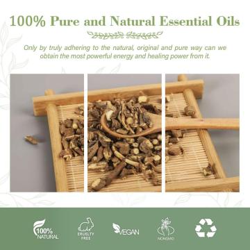 Pure organic bupleurum falcatum radix bupleuri the root of Chinese thorowax oil bupleurum