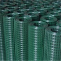 Galvanized Welded Wire Mesh