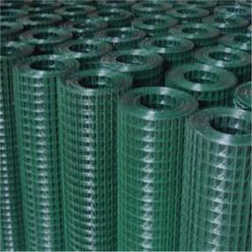 Hot-dipped galvanized Welded Wire Mesh for Chicken