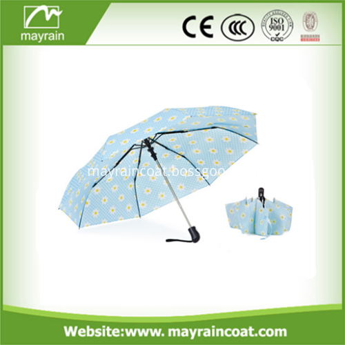 Rain Umbrella Sun