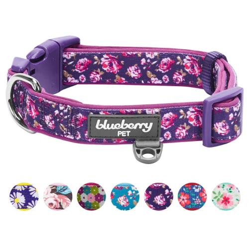 Comfy Collars Dog Flower