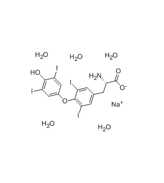 제약 학년 Levothyroxine 나트륨 CAS 55-03-8