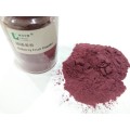 Direct Sales Bilberry Fruit Powder
