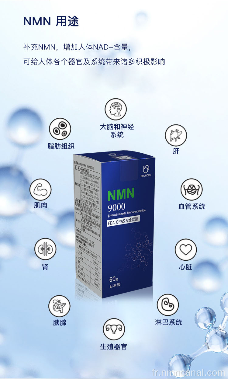 Booster d'immunité NMN OEM Capsule