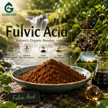 Ácido fúlvico soluble en agua para la nutrición de cultivos modernos