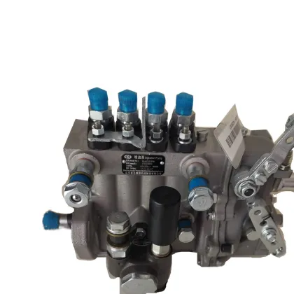 OEM Kangda Injection Pump BQT4A-1.0.0-06Y for Xinchai Engine