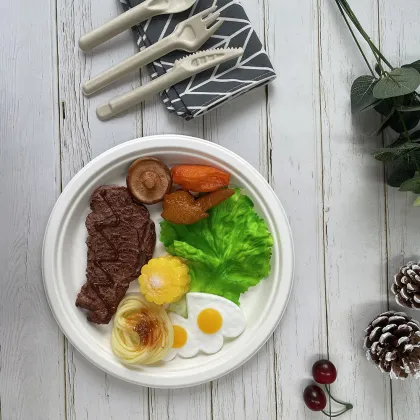 dinner plate sugarcane disposable plates degradable dish