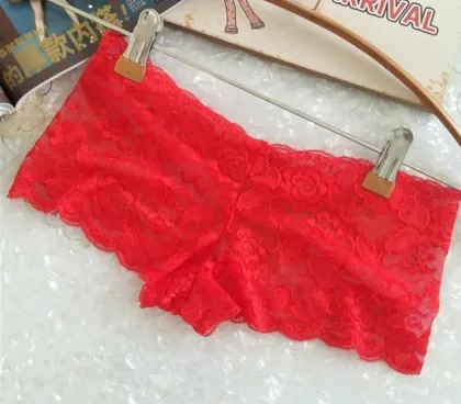 Plus Size Transparent Lace Panties in Multiple Colors (S to 5XL)