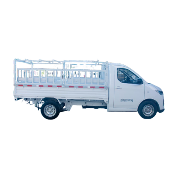 Wuling Zhiyue Yangguang Elektrolastwagen (Modell mit niedrigem Dach)
