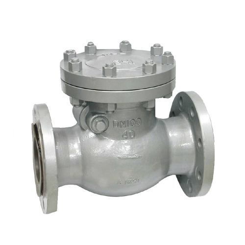 DIN Swing Check Valve PN16