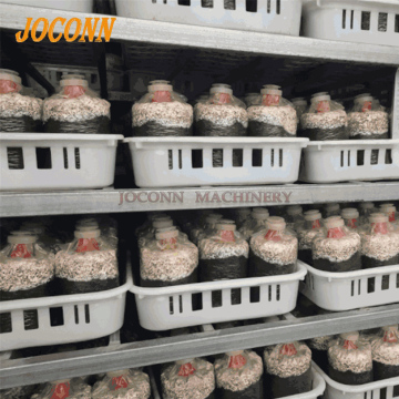 Contenedores de cultivo de hongos resistentes a la alta temperatura: contenedores de almacenamiento de plástico apilables