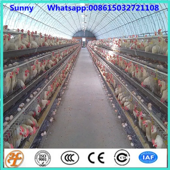 Chicken Use and steel wire Material battery chicken layer cage sale for pakistan farm