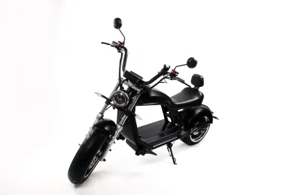 Battery Removable Mobility EEC Electric Scooters