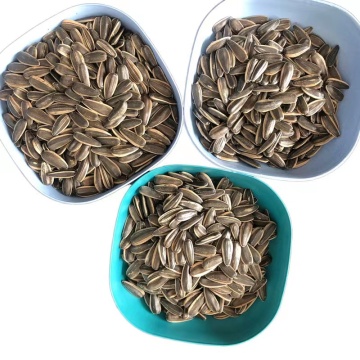 Best Quality Sunflower Seeds Type 363/361