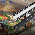 40W CE APPROVAZIONE LED LED LED LIMINA