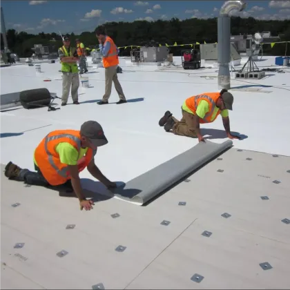 TPO Membrane for Roof Waterproofing - XINC Exposed Waterproof Material