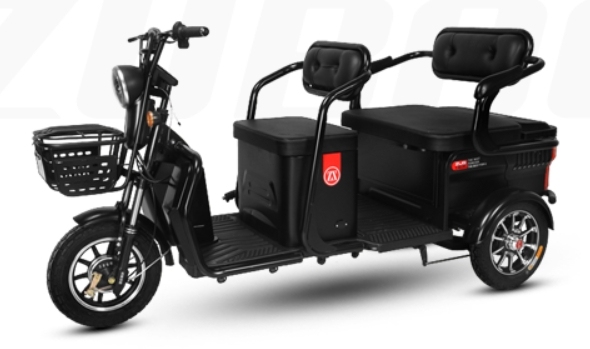 H3 (Leisure Electric Tricycle)