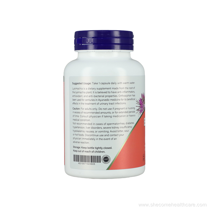 Kidney 500mg Herbal Kidney Essentials 120 Veg Capsules