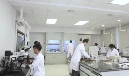 High performance high solid content laminate glue