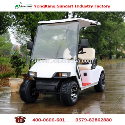 Colorful 2 Seater Golf Cart,Golf Cart ,Electric golf cart for sale, Hotel electric golf cart ,Mini electric golf cart