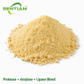 Protease Amylase Lipase Blend for Water Quality